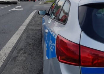 41 576990 2023 10 12 130351