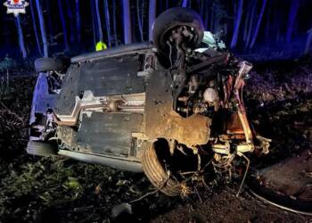 68 229652 2023 10 18 195349