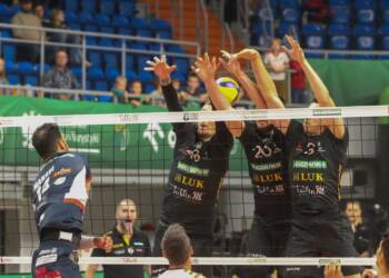 bq8v1401 2023 10 16 002412