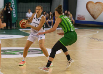 bq8v1883 2023 10 19 223625