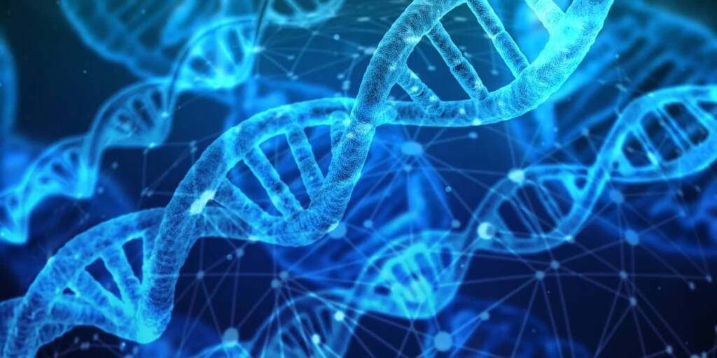 dna 2023 10 29 110610