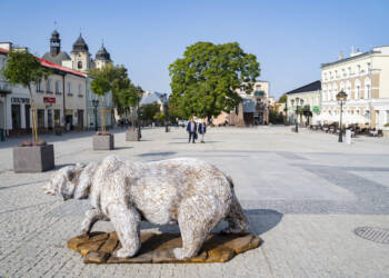 dsc00574 2023 10 02 194152