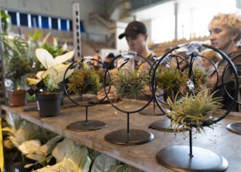 dsc02166 2023 10 22 191420