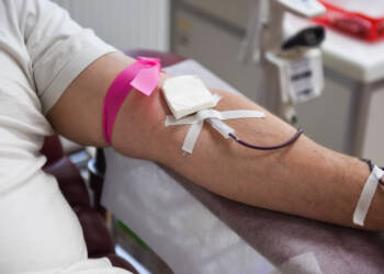 dsc 6013 2023 10 06 230750