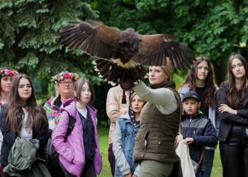 img 20220522 212149 2023 10 12 062411