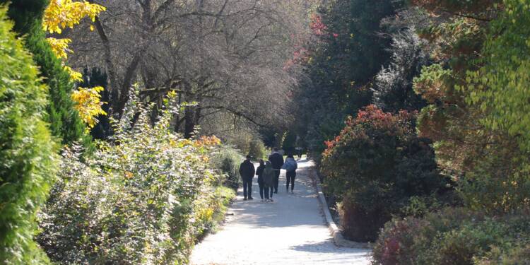 2021.10.10. LUBLIN . OGROD BOTANICZNY . JESIEN . FOT. PIOTR MICHALSKI