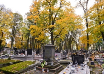 kra 4049 2023 10 27 215624