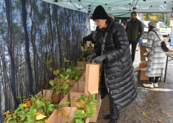 kra 4462 2023 10 28 145841