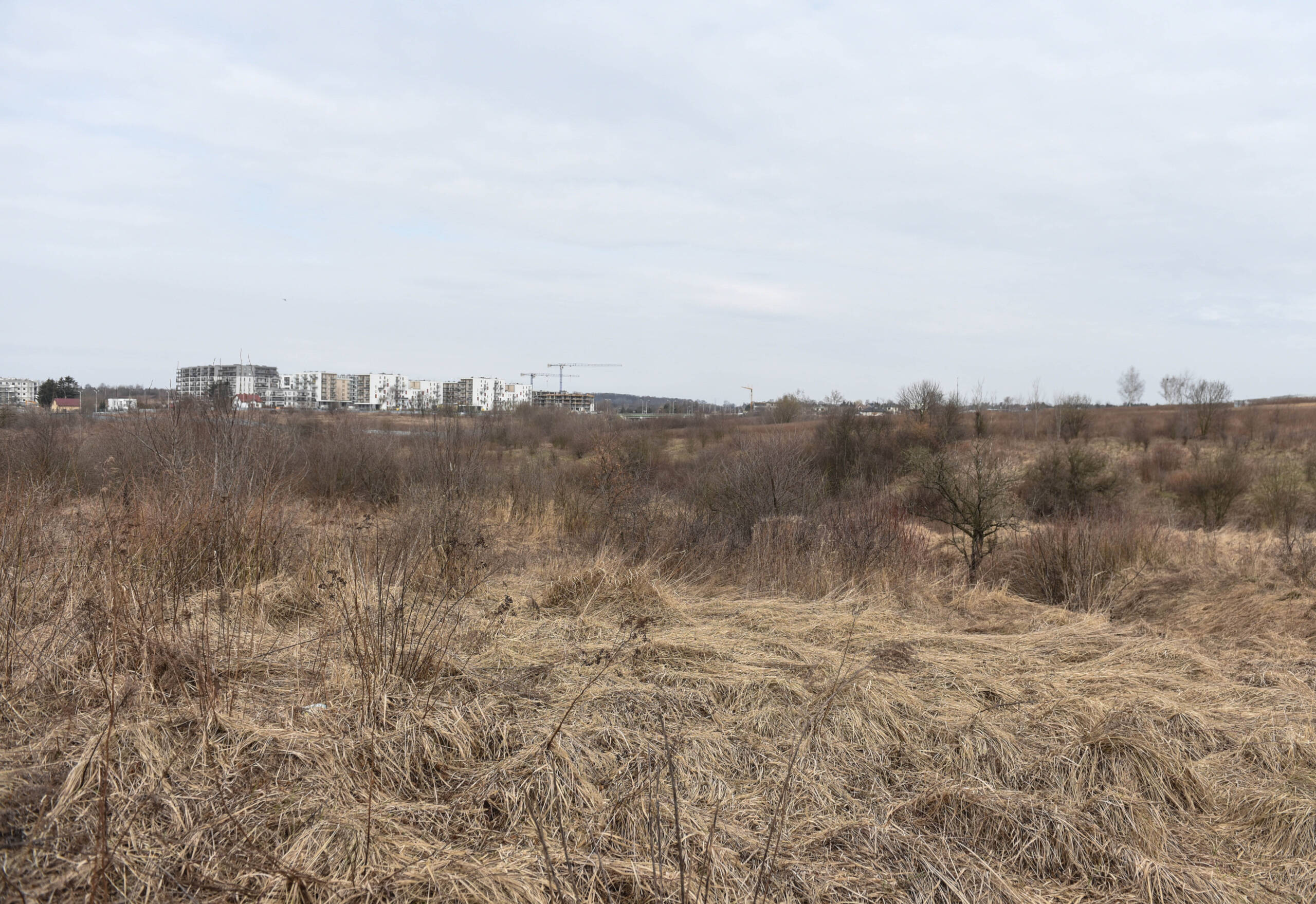 Sąd rozstrzygnął ws. Gorek Czechowskich. Jednak to nie koniec sprawy? 2 KRA_5737.jpg