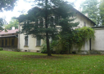 p1050248 2023 10 13 212707