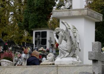 pa282168 2023 10 28 165949