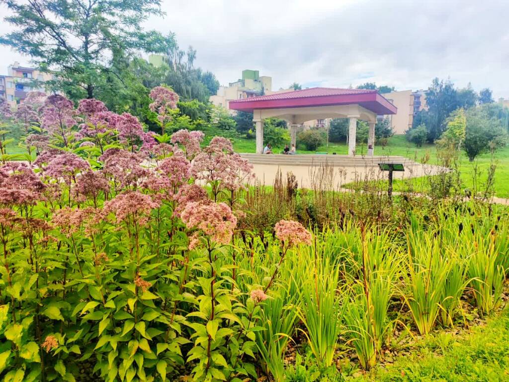 pierwszy miejski ogrod deszczowy w parku jana pawla ii 2023 10 06 173708