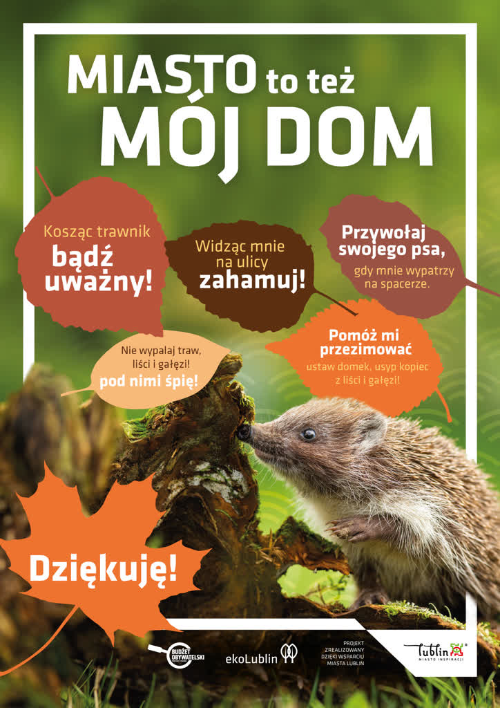 Domek za figurkę. Konkurs dla miłośników jeży 2 Plakat_Miasto to też mój dom_jeże.jpg