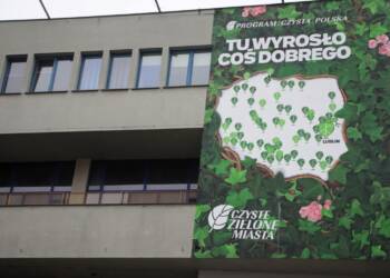 pm mural 281023 008 2023 10 28 145842