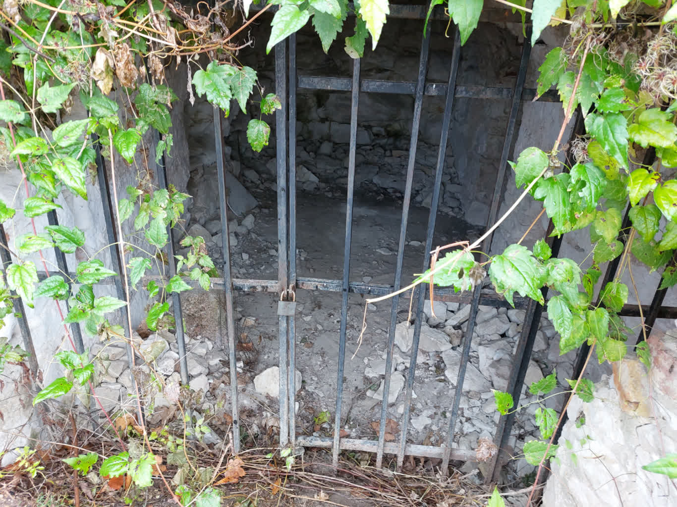 Zabytkowy kamień w grocie przy zamku. Jakie jest jego pochodzenie? 2 20231114_082816.jpg