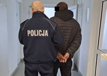 68 232039 2023 11 26 133502