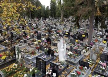 dji 0143 2023 11 03 123327