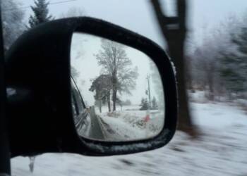 dro 2023 11 25 081023