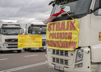 dsc03126 2023 11 06 135332