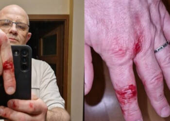 dzik 4 2023 11 18 135526