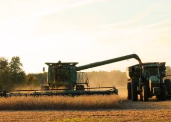 harvest 1825170 1280 2023 11 07 132945