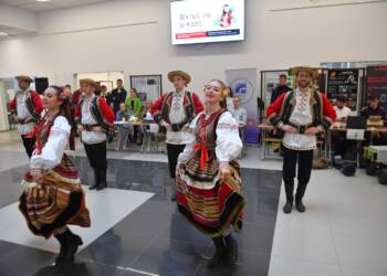 img 3348 2023 11 15 141133