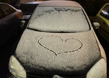 img 7700 2023 11 17 165711