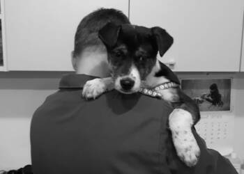 iwanicki 2023 11 11 103241