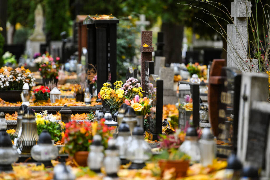 kra 4061 2023 11 03 223130