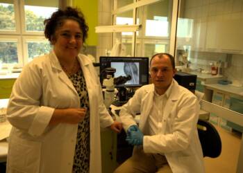 lancet 2 1024x683 2023 11 24 194221 2023 11 27 202241