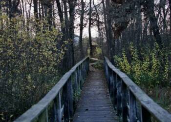 pb120003 2023 11 12 233923