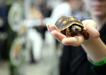 pm gady 051123 005 2023 11 05 183221