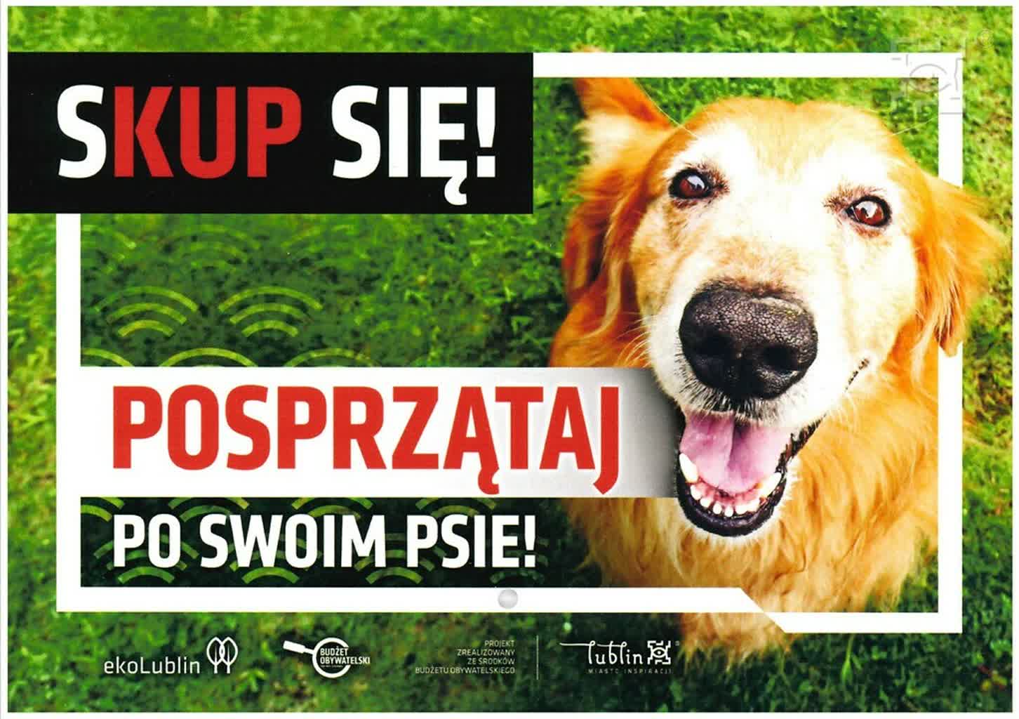 Pouczenia i woreczki zamiast mandatów. Sprzątajmy po swoich psach 2 sprzataj_po_swoim_psie_-_2023,klOWfqWibGpC785HlXs.jpg