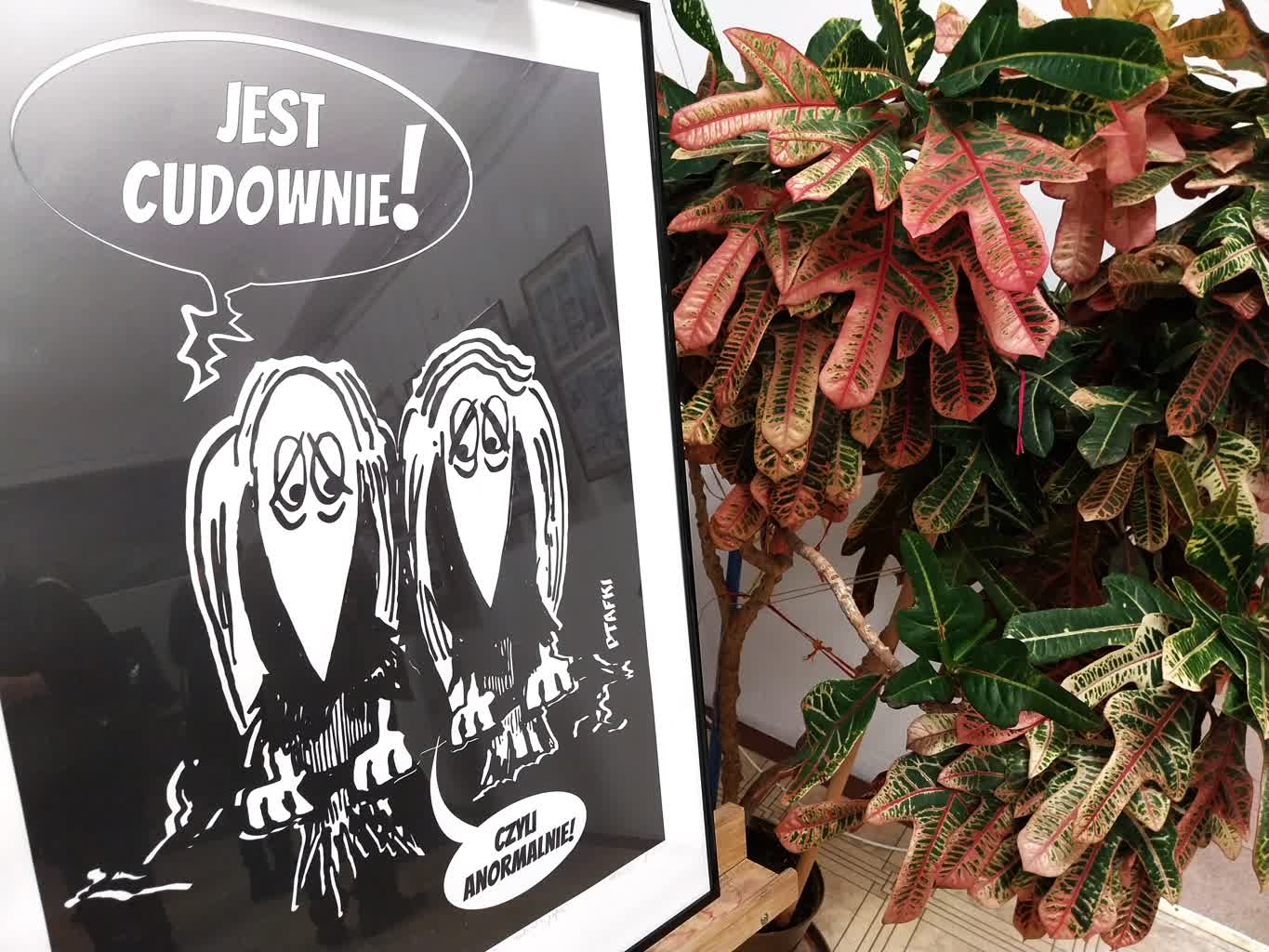 Michał Fujcik: Jestem plastusiem rysującym komiksy 2 07.jpg