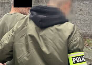 355 233185 2023 12 20 125022