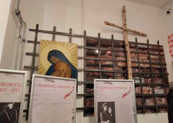 393083644 380781167762193 4956265318589482696 n 2023 12 15 140728