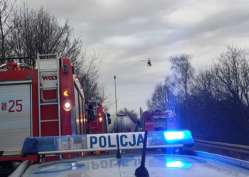 41 641645 2023 12 15 100016