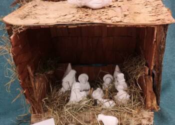 411492444 664593182534282 2322642384248666682 n 2023 12 20 210341