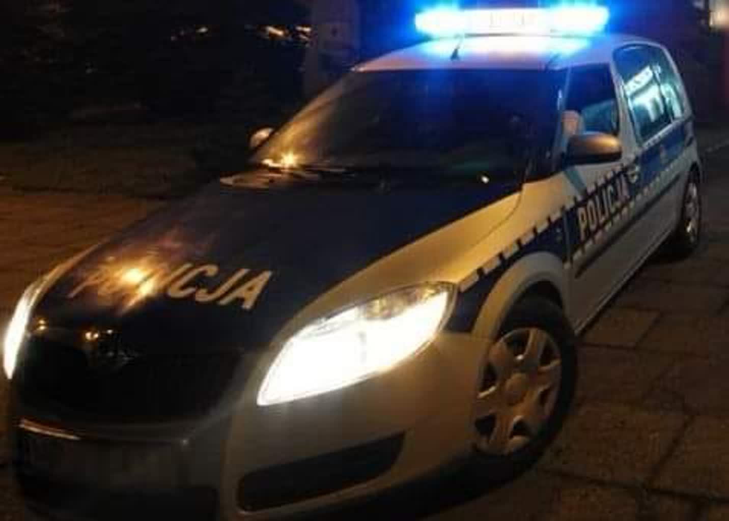 Pojawiają się na drodze nagle! Uważajmy na dzikie zwierzęta 2 412888426_666889332281118_5500494514893888372_n.jpg