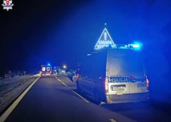 68 150978 2023 12 03 175830