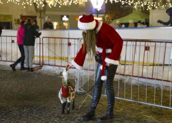 dsc05798 2023 12 16 230459