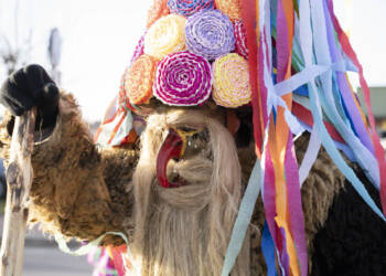 dsc06691 2023 12 29 151107