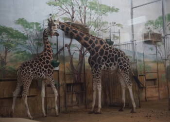 dsc07046 2023 12 30 121550