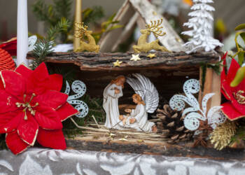 img 0718 2023 12 18 190606