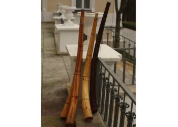 ligawa 2023 12 17 121141