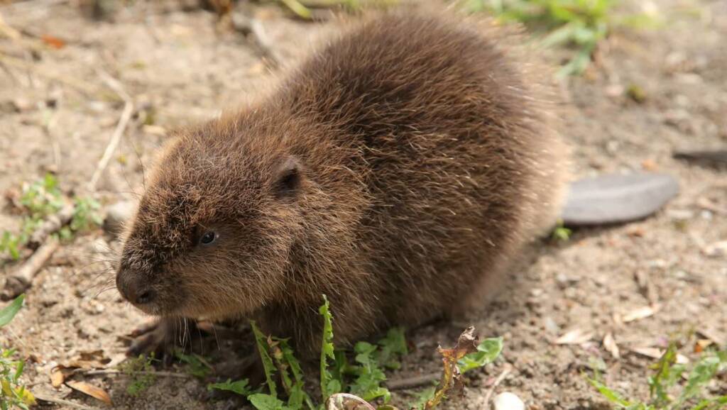 pap 20160809 0k5 2023 12 26 085654