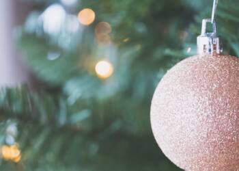 pexels jessica lewis thepaintedsquare 1646325 2023 12 28 125832