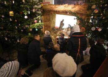 pm paster024 1 2023 12 24 104146