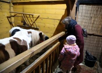 pm zywa 251223 014 2023 12 25 143726