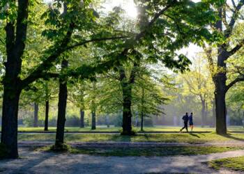 running 5100511 1280 2023 12 31 140732